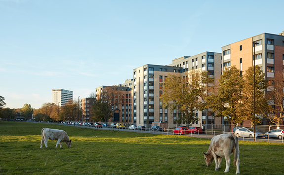 Park View accommodation, which sits on the site of the old Richardson Road accommodation